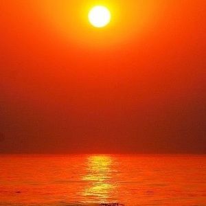 Meet your Posher, Joanie